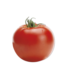 Pomodoro-Tondo-Liscio-Insalataro-Optima Pomodoro-Tondo-Liscio-Insalataro-Optima
