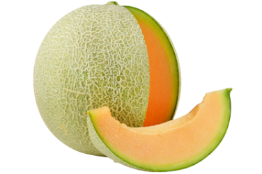 melon_194841866 melon_194841866
